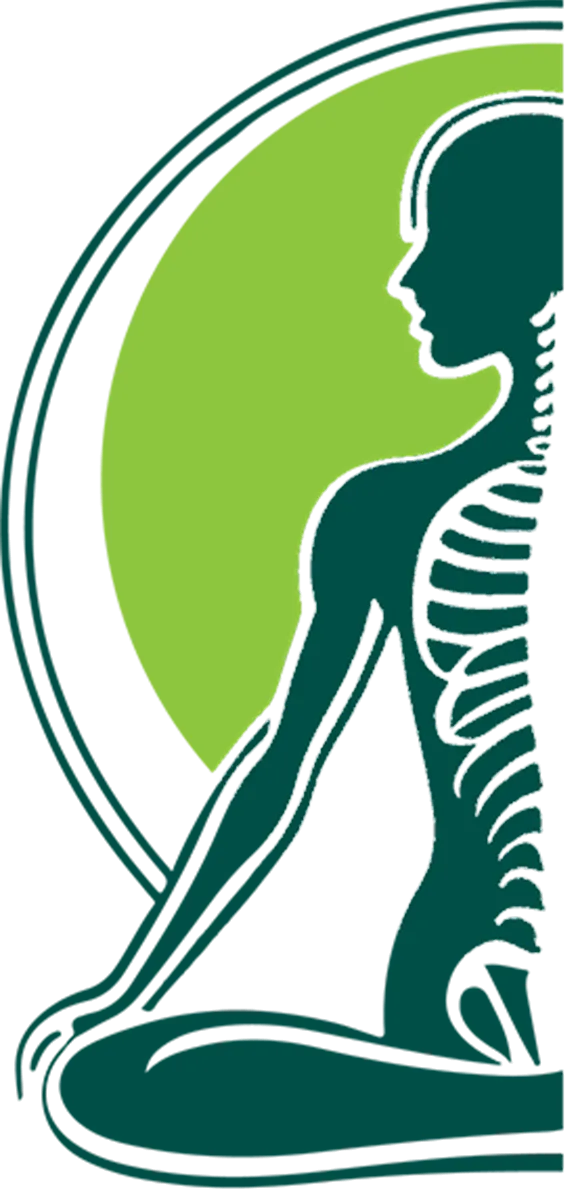 The Body Theory Logo