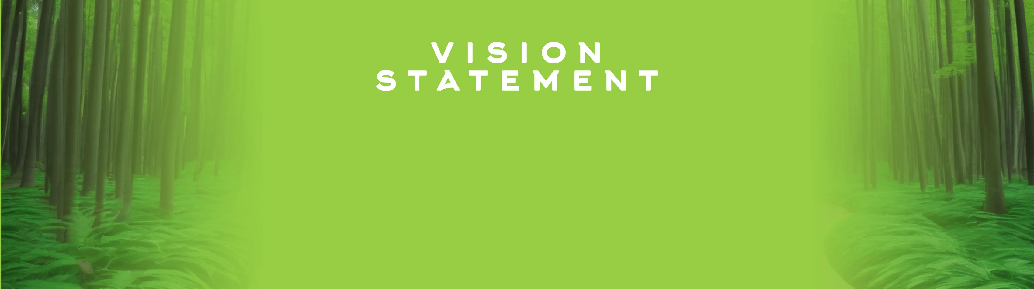 Vision Statement